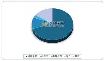 印度禁止電商銷售持股公司產品與我國跨境進口電商格局淺析