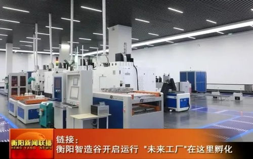衡陽智造谷開啟運行 未來工廠在這里孵化，經營電子商務再添新機
